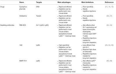 Mouse Models and Tools for the in vivo Study of Neutrophils